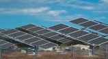 Francesco La Camera Appointed as IRENA Chief for Second Term