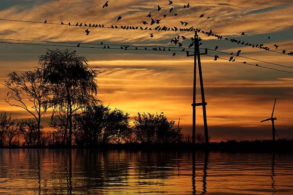 Two Key Steps to Energy-as-a-Service for Utilities
