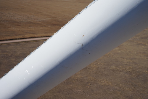 Rooting Out Blade Damage 